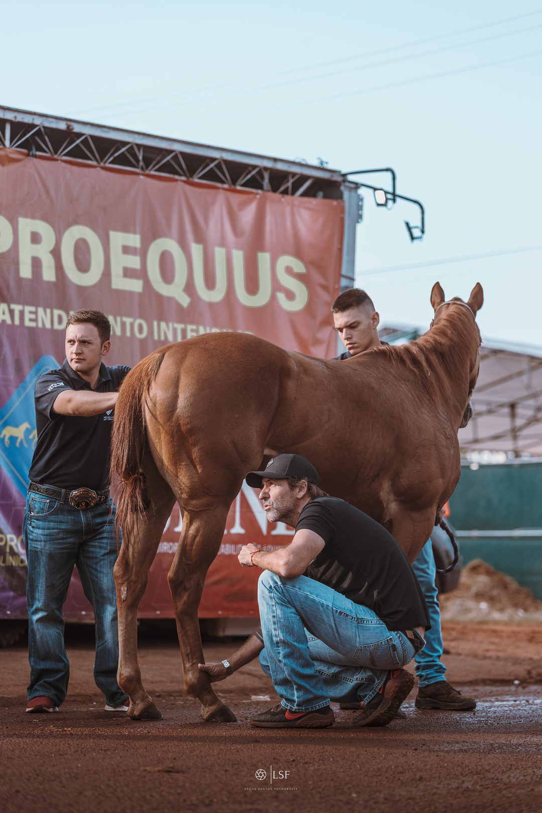 Veterinários da Pro Equus avaliando um cavalo atleta no CAI durante a prova